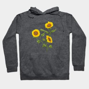 Sunflowers Hoodie